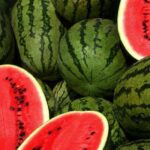 Tre fruta dhe perime që duhen ngrënë në verë për hidratim