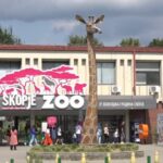 Fundjava sjell mbi 2 mijë vizitorë në Kopshtin Zoologjik të Shkupit