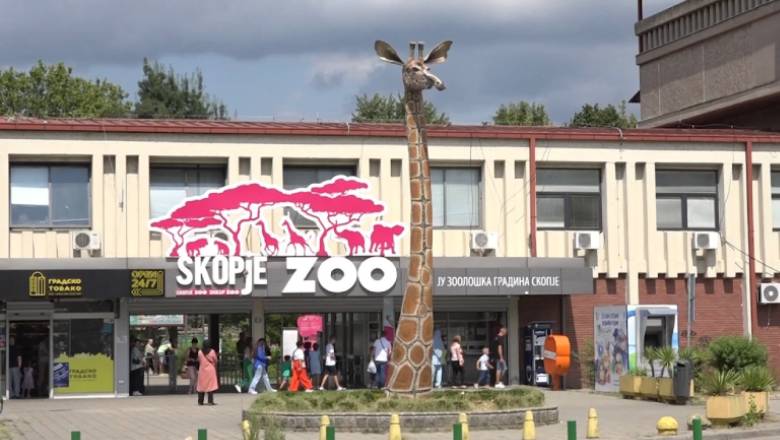 Fundjava sjell mbi 2 mijë vizitorë në Kopshtin Zoologjik të Shkupit